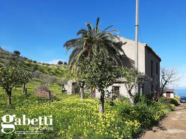 foto principale del terreno