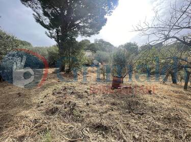 foto principale del terreno
