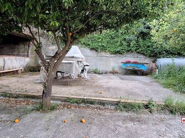 foto principale del terreno