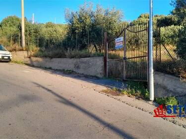 foto principale del terreno