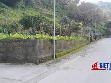 foto principale del terreno