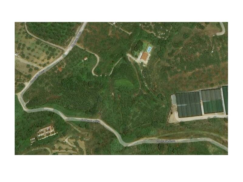 foto principale del terreno