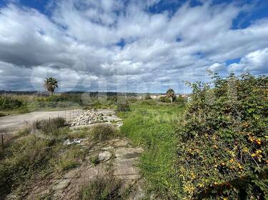 foto principale del terreno