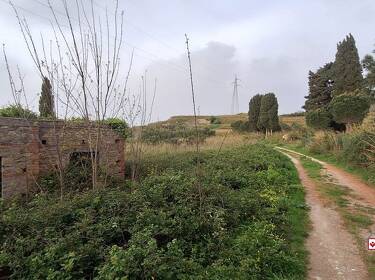 foto principale del terreno