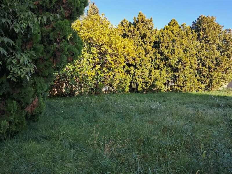 foto principale del terreno