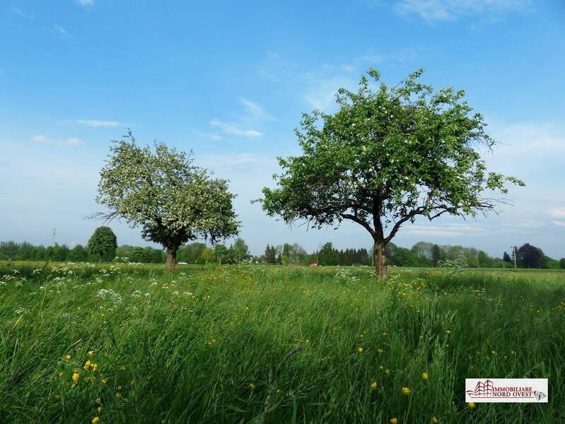 foto principale del terreno