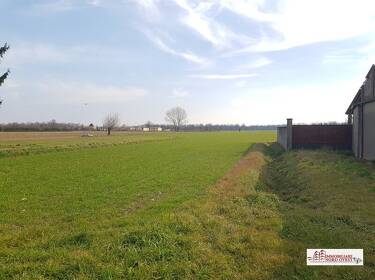 foto principale del terreno