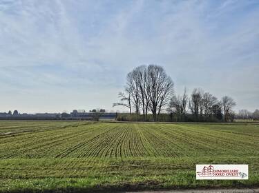 foto principale del terreno