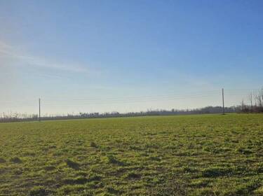 foto principale del terreno