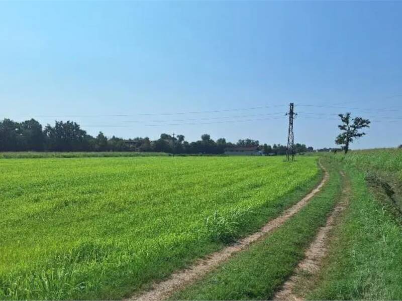 foto principale del terreno