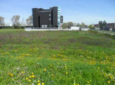 foto principale del terreno