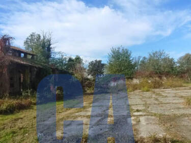 foto principale del terreno