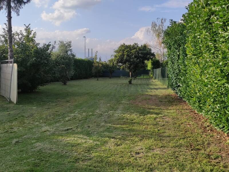 immagine annuncio 1 di 4