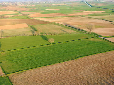 foto principale del terreno