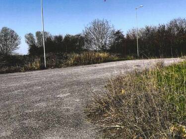 foto principale del terreno