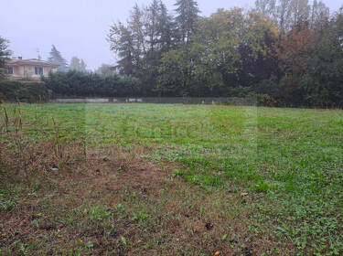 foto principale del terreno