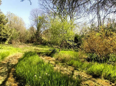 foto principale del terreno