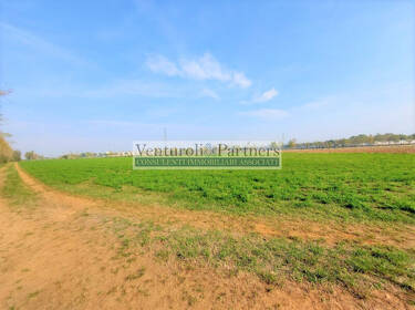 foto principale del terreno