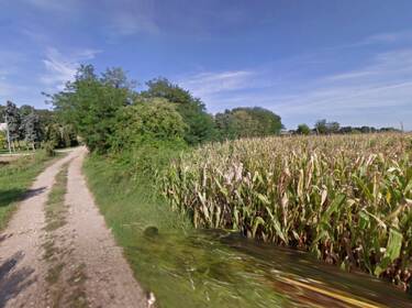 foto principale del terreno