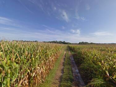 foto principale del terreno