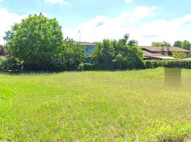 foto principale del terreno