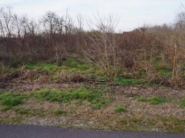 foto principale del terreno