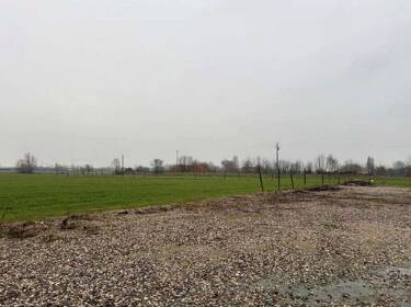 foto principale del terreno