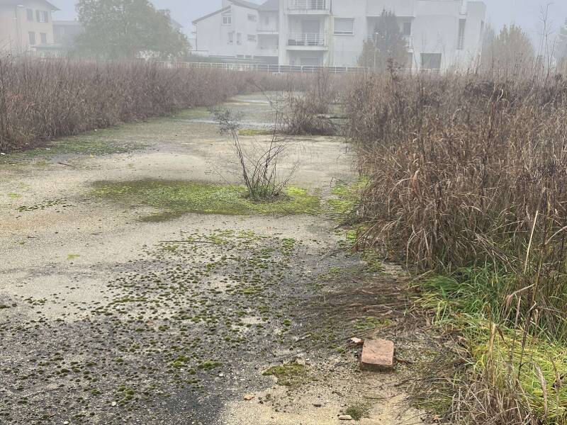 foto principale del terreno