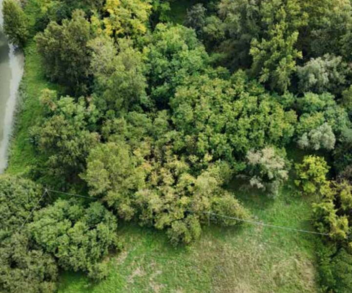 foto principale del terreno