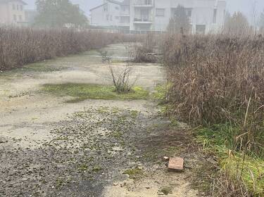 foto principale del terreno