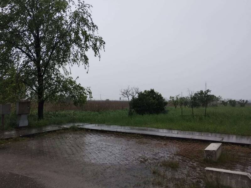 foto principale del terreno