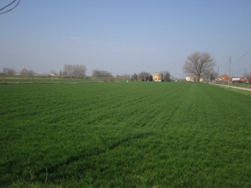 foto principale del terreno