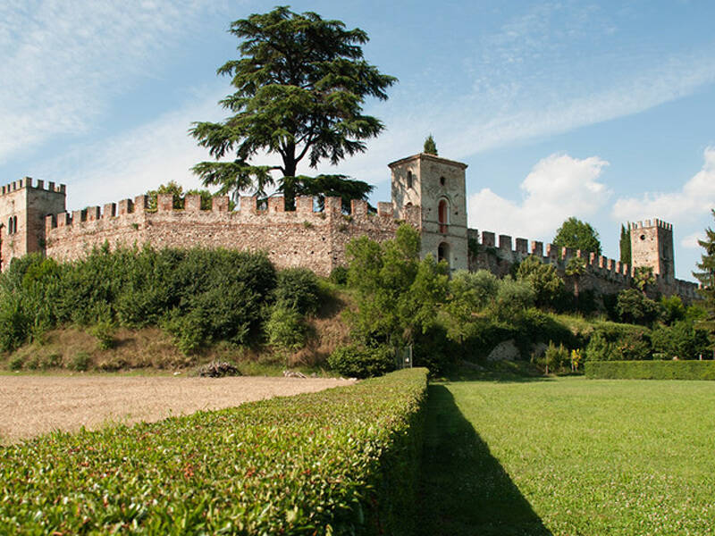 foto principale del terreno