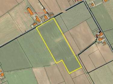 foto principale del terreno