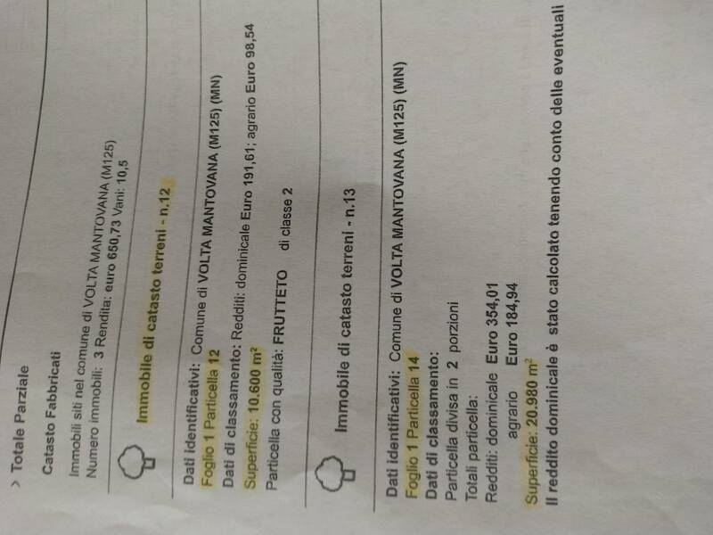 immagine annuncio 1 di 5