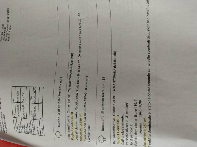 immagine annuncio 4 di 5