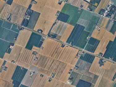 foto principale del terreno