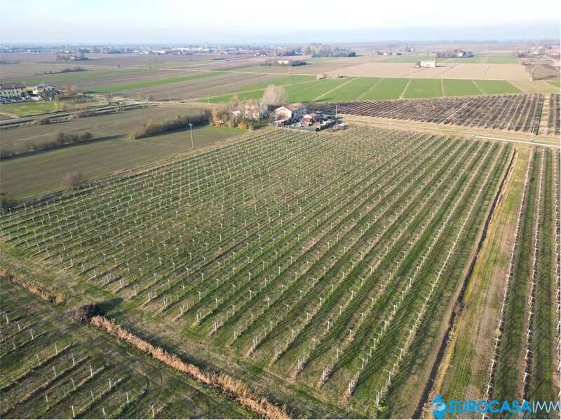 foto principale del terreno