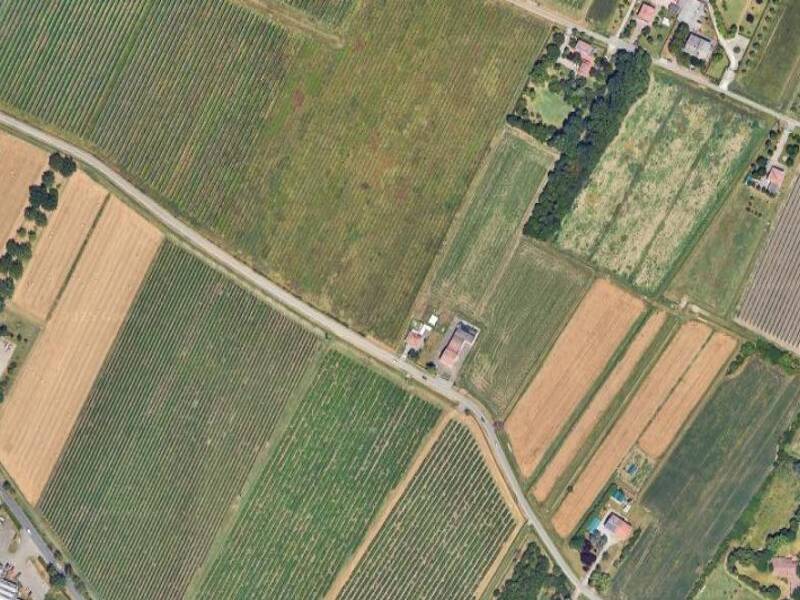 foto principale del terreno