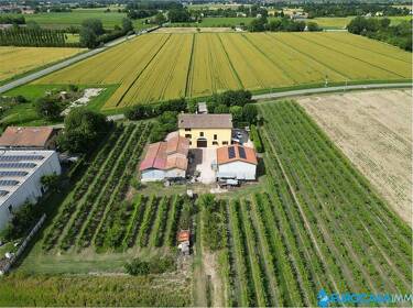 foto principale del terreno