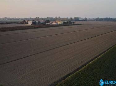 foto principale del terreno