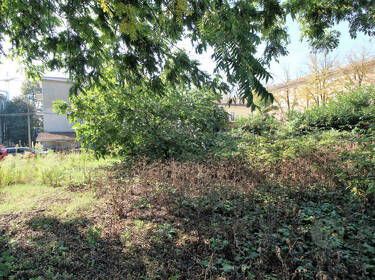 foto principale del terreno