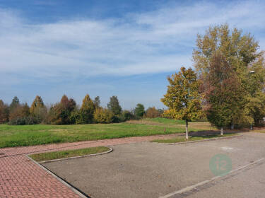 foto principale del terreno