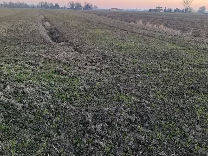 foto principale del terreno