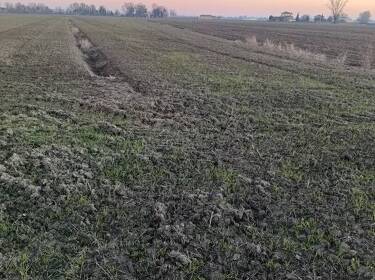 foto principale del terreno