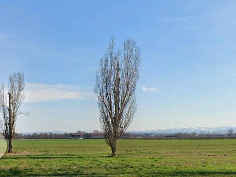 foto principale del terreno