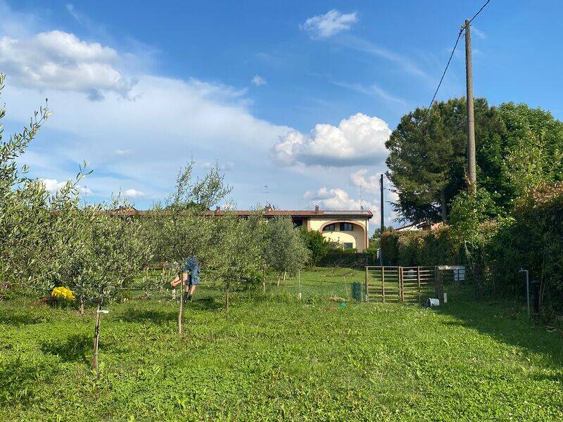 foto principale del terreno