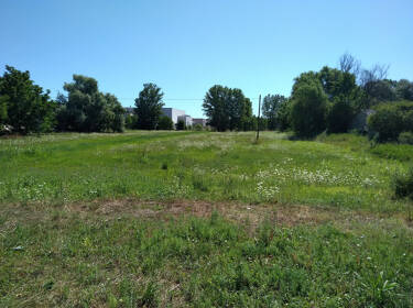 foto principale del terreno