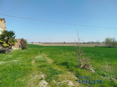 foto principale del terreno