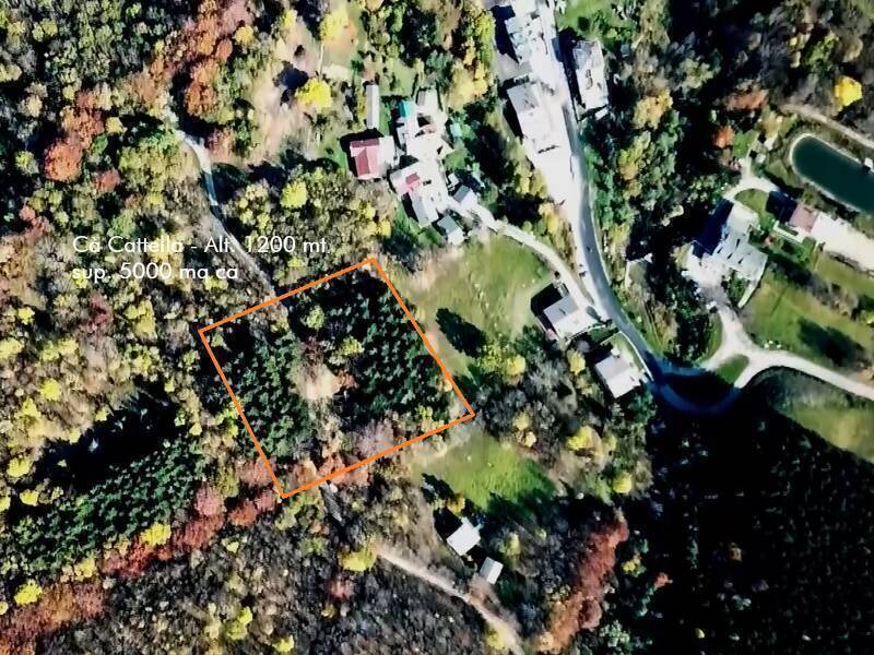 foto principale del terreno